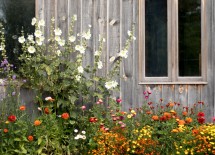 Picture Gallery